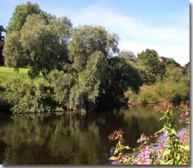 River Wye - Click For Larger Image